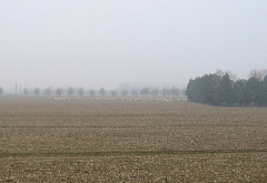 transumanza